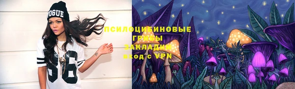 СК Пересвет