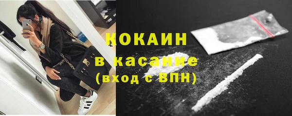 СК Пересвет