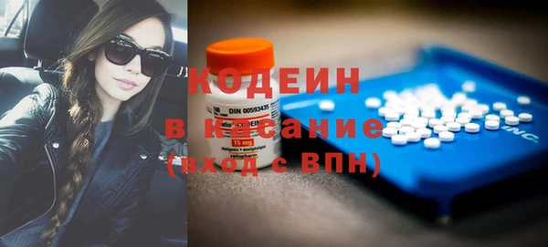 СК Пересвет