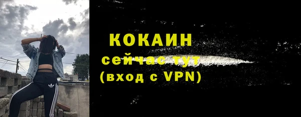 СК Пересвет