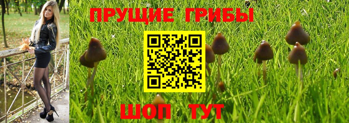 Санкт-Петербург  Галлюциногенные грибы мицелий  Вход с VPN 
