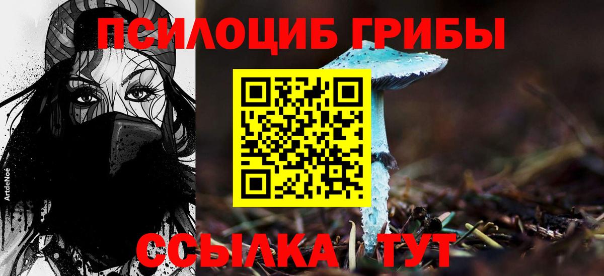 Псилоцибиновые грибы Magic Shrooms Санкт-Петербург
